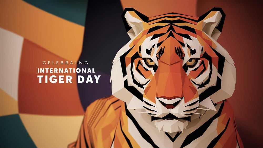 Tiger Conservation - International Tiger Day