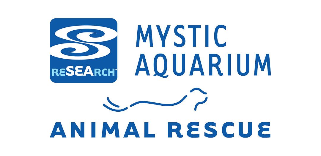 Mystic Aquarium