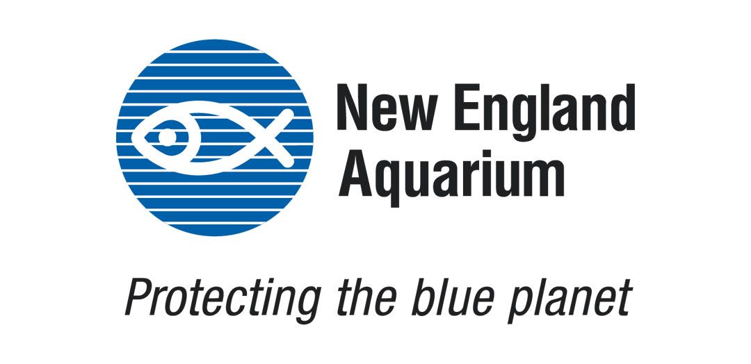 New England Aquarium