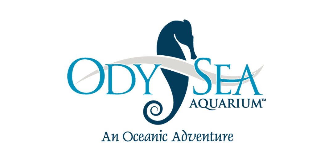 OdySea Aquarium